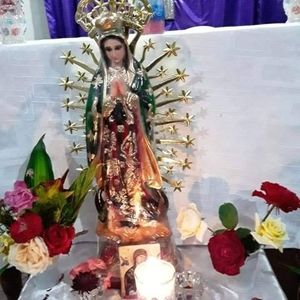 Meet your Posher, Rodríguez